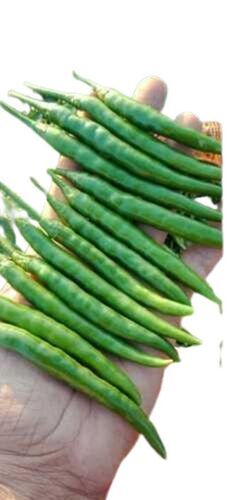 Spicy Taste Natural Green Chillies