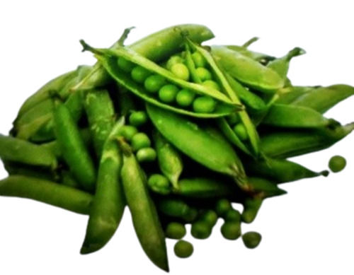 Fresh Green Peas 