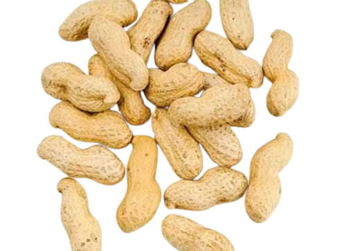 A Grade 100 Percent Purity Nutrient Enriched Healthy Common Cultivated Ground Nuts