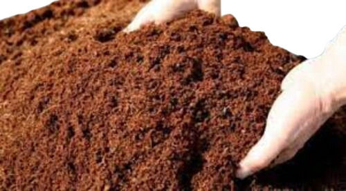 High Quality Coco Peat Powder