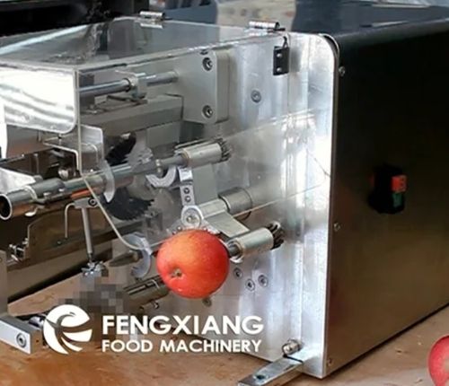 Automatic Pineapple Mango Melon Peeling And Core Removing Machine