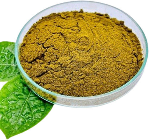 Gymnema Sylvestre (Gudmar) Leaf Extract