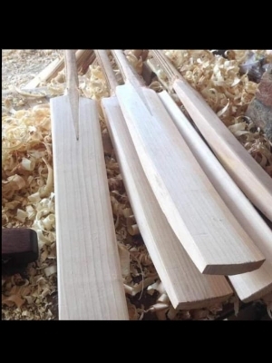 English Willow Cricket Bat For Cricket Playing Use