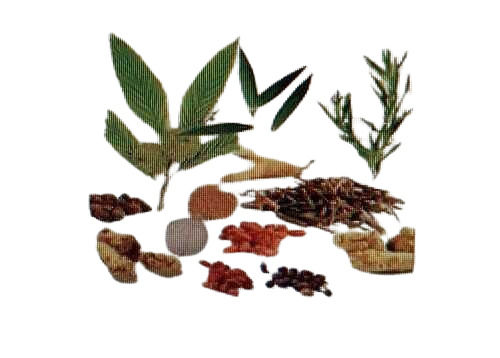 Ayurvedic Herbal Medicines