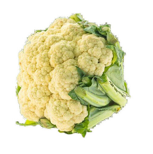 Rich In Antioxidants Fresh Cauliflower