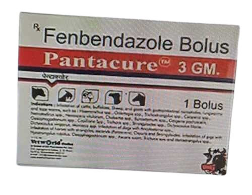 Fenbendazole 1.5 Gm Bolus For Clinical