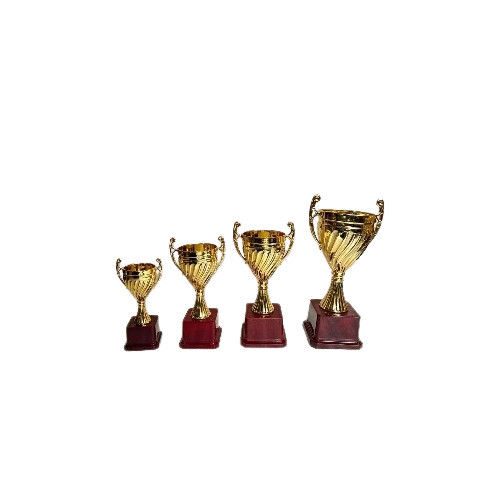 Sleek and Modern Acrylic Trophies