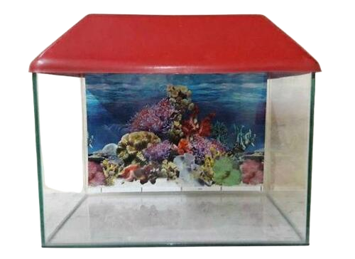Designer Fish Tank