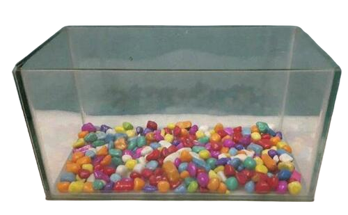 Fish Tanks