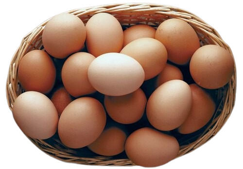 Brown Eggs