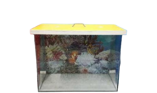 New Glass Fish Tank