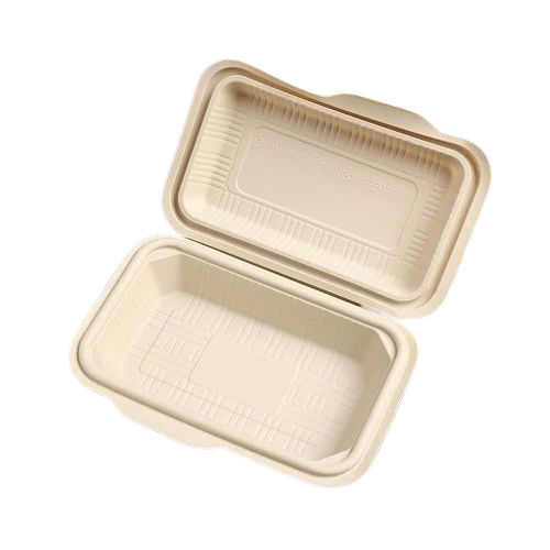 Eco Friendly Food Container Boxes