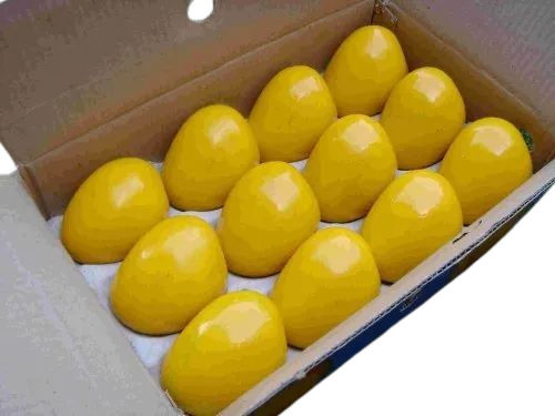 Mango Packaging Tray