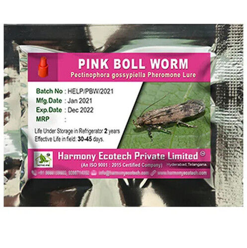 Pink Bollworm Pheromone Lure - Pectinophora gossypiella 30 Grams