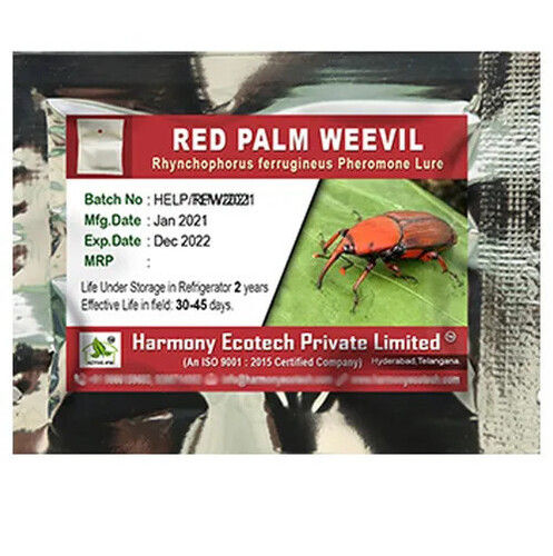 Red Palm Weevil Pheromone Lure - Rhynchophorus ferrugineus 5 Grams