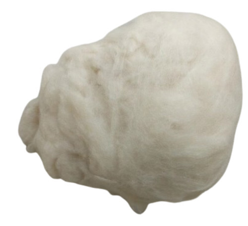 Carded Australia Lambswool Fiber - 16.5 Micron 36mm to 38mm Length White | Soft Luxurious Eco-Friendly Ideal for Spinning and Felting Anti-Bacterial