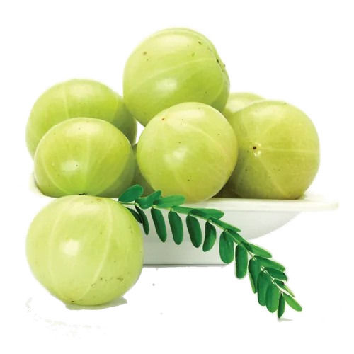 100% Natural And Pure Organic Amla For Multipurpose Use