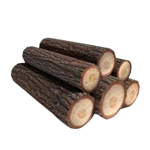 Eco-Friendly High Strength First Class Termite Resistant Timber Logs For Furniture Manufacturing