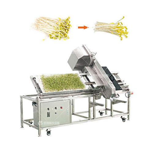 Multi Functional Bean Sprout Cutting Machine