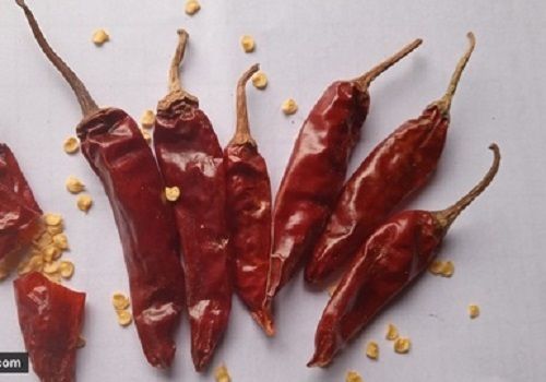 A Grade red chilli Whole