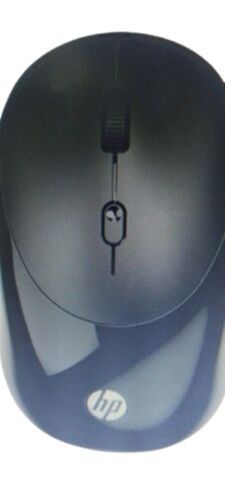 Computer Mouse 