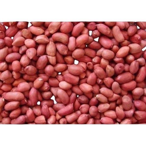 Red High In Protein Groundnut Seeds