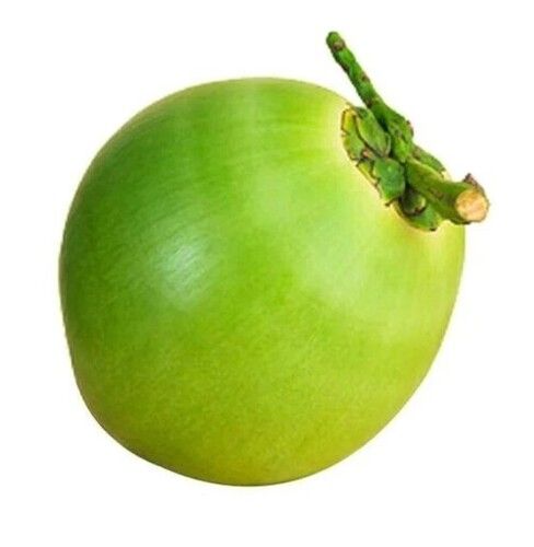 Green Coconut