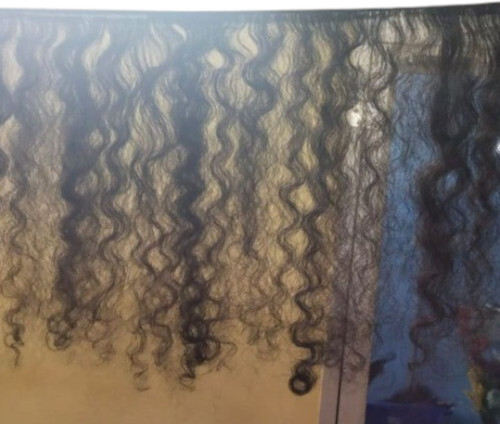 Black Curly Human Hair Extensions - 20 Inch Machine Weft, Indian Hair with Natural Color and Beautiful Textured Curls, Tangle-Free and Easy to Maintain, Versatile for Styling and Coloring