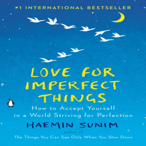 Love For Imperfect Things Romance Novel Book