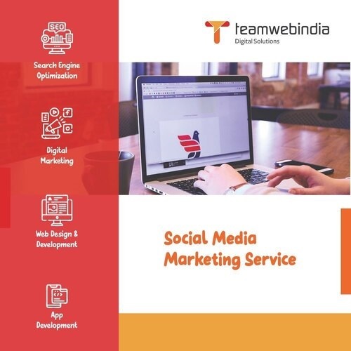 Social Media Marketing Service By Team Web India