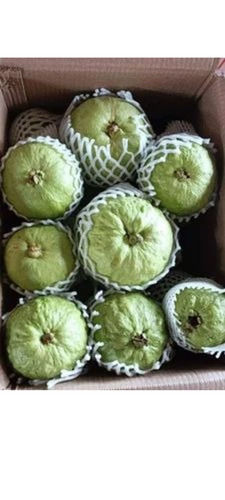 Fresh Guava 
