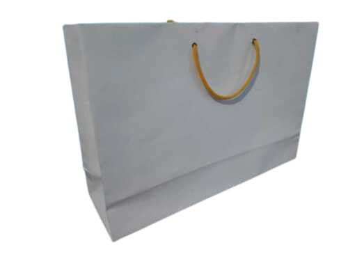 White Color Plain Pattern Rectangular Shape Paper Bag