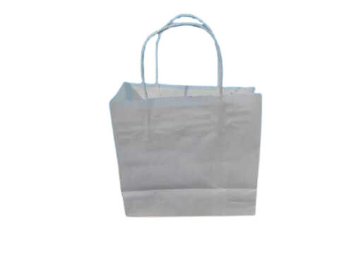 White Color Plain Pattern Loop Handle Paper Carry Bag