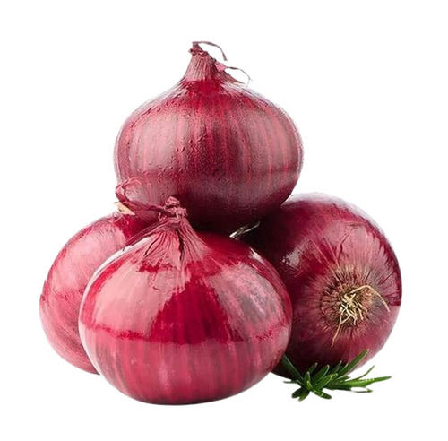 A Grade Indian Origin Commonly Cultivated 100 Percent Purity Fresh Red Onion