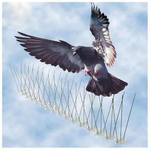 Bird Spike - Stainless Steel, Weather-Resistant | Humane Perch Prevention, Easy Installation, Low-Profile Design