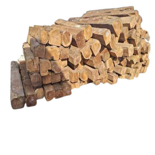 High Quality Teak Wood Logs