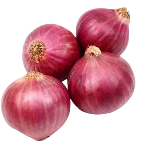 100% Pure Natural Fresh Onion