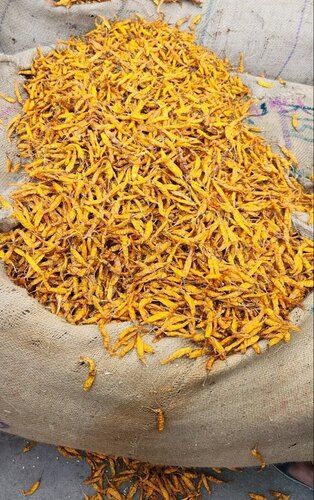 Indian Origin Whole Dried Yellow Chilli