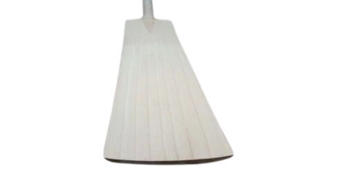 Fine Finish And Premium Quality Willow Cricket Bat