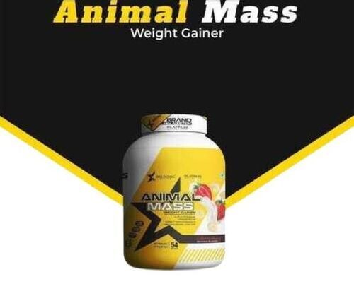 Highly Nutritional Mass Gainer Protein