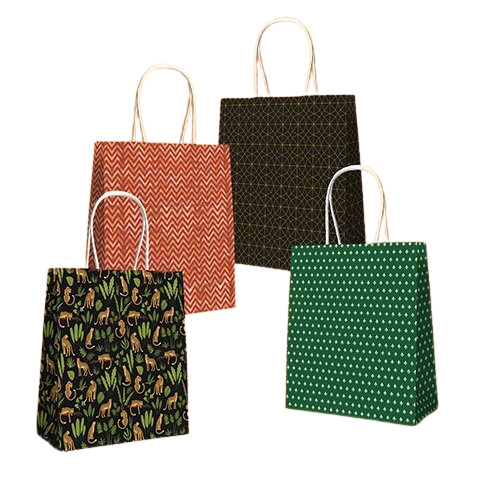 Kraft Paper Carry Bags - Single Compartment, Printed Design , Eco-Friendly and Moisture Proof, Various Colors Available