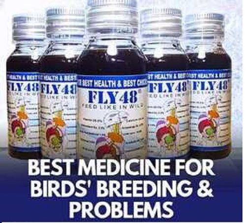 Fly 48 Bird Medicine