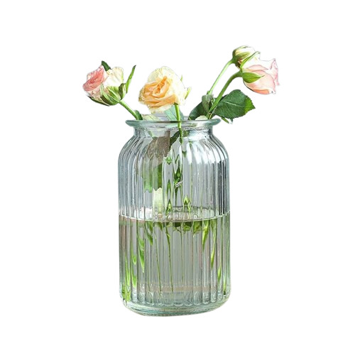 Glass Vases