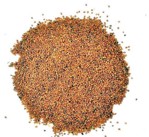 Taramira Seeds