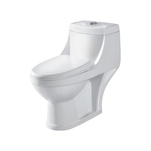 Classic Floor Mount One Piece Toilet Closet