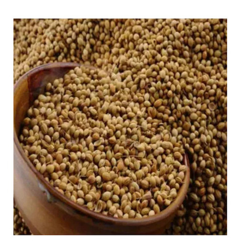 Coriander Seeds - Admixture (%): 100