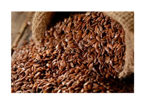 Organic Flax Seed By Shri Charbhuja Jaivik Farm