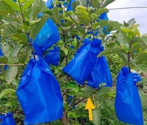 Eco Friendly And Light Weight Blue Color Grow Bags