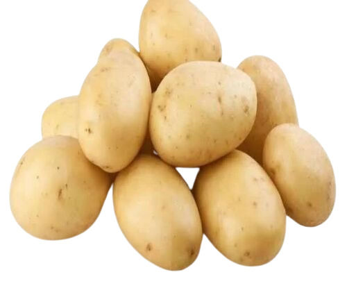 Fresh Potato