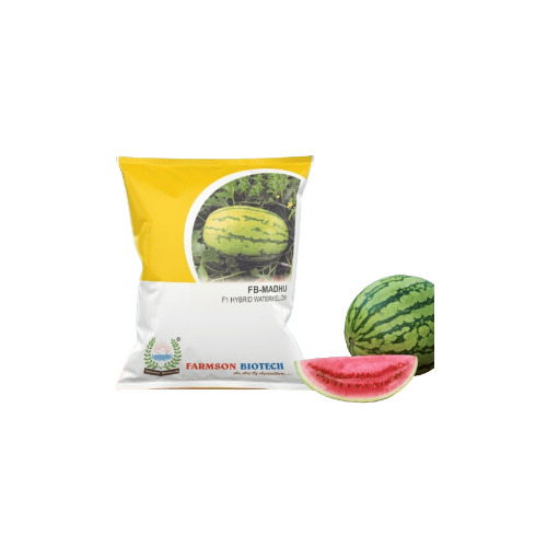 -Madhu F1 Hybrid Watermelon Seeds - Hybrid Oblong Shape Fruit Light Green Rind with Crimson Red Flesh | Average Weight 8-10 kg High Yield Strong Wilt & Anthracnose Resistance 12-13% Brix 68-75 Days Maturity Good for Long Transportation
